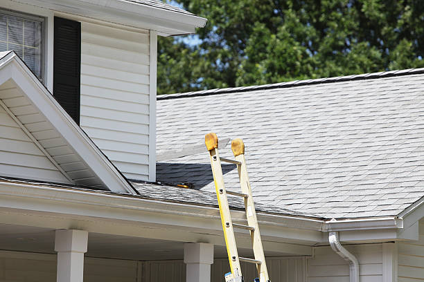 Best Stucco Siding  in Ol, LA